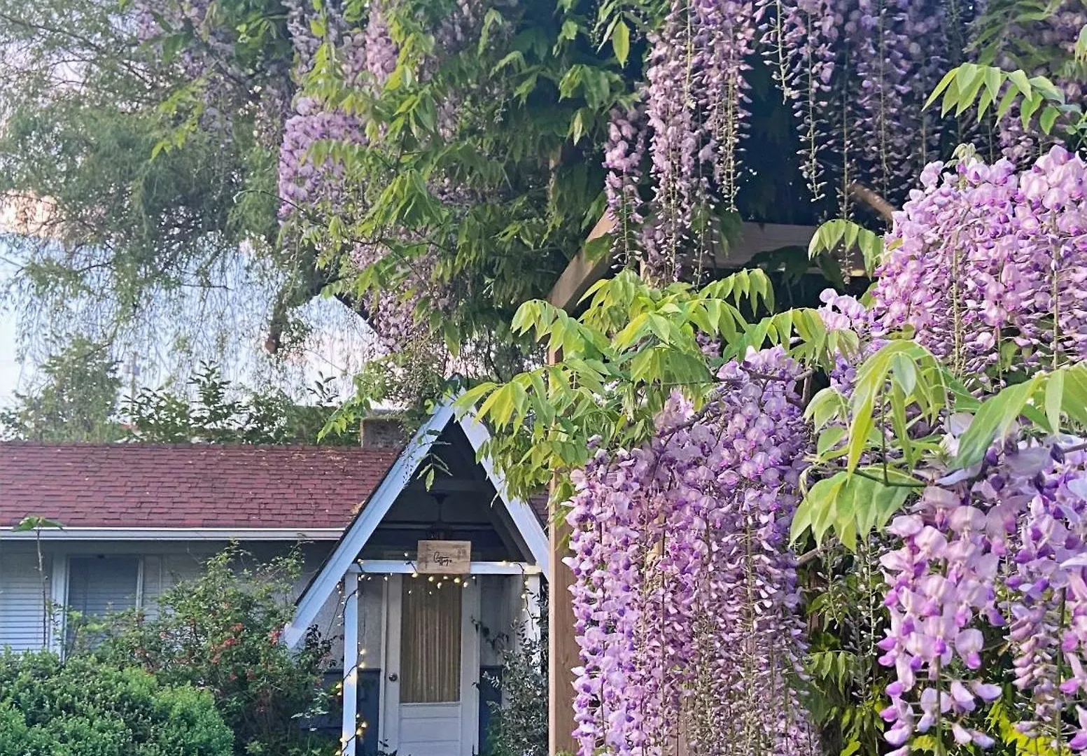Wisteria Guest House Ganges